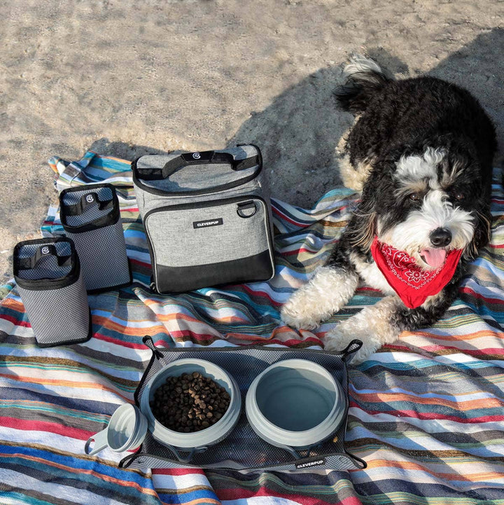 Bistro Box Dog Food Travel Kit