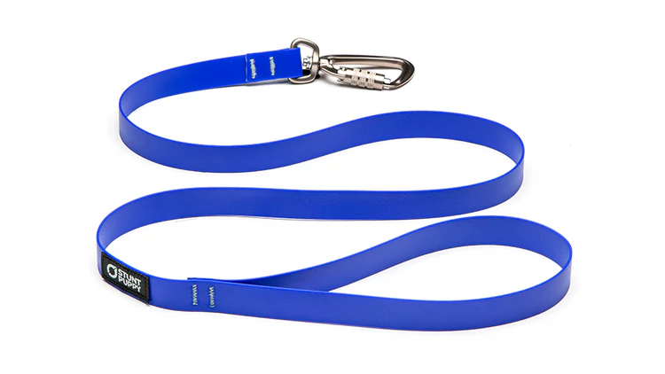 Dry Leash Royal