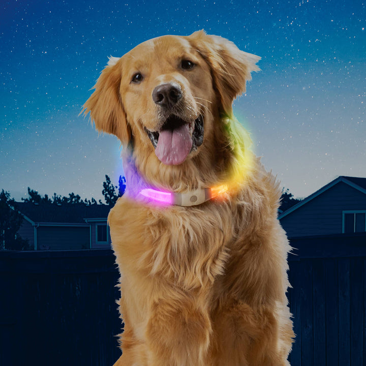 NiteHowl Max Rechargeable LED Safety Necklace Disco