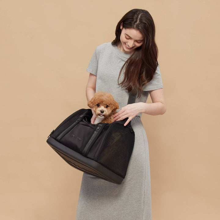Onboard Travel Pet Carrier (Airline Compliant)