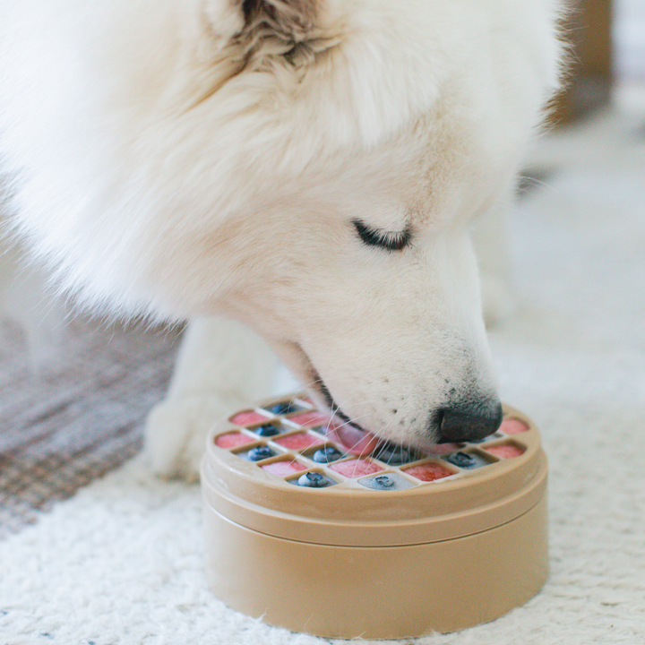 3-in-1 Bento Lick Mat + Slow Feeder