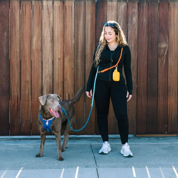 Beau Rainbow Hands-Free Leash