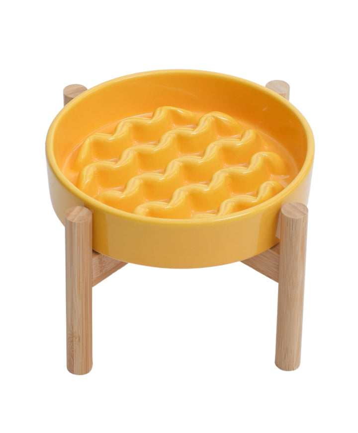 Macaroni Slow Feeder Dog Bowls
