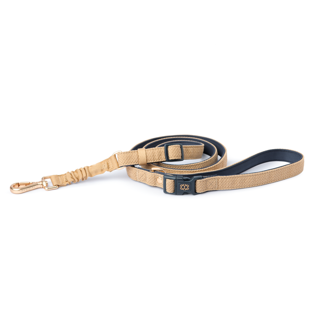 3-in-1 City Dog Leash - Hamptons