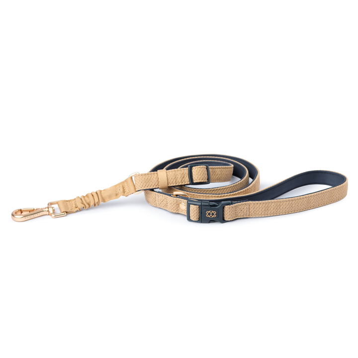 3-in-1 City Dog Leash - Hamptons