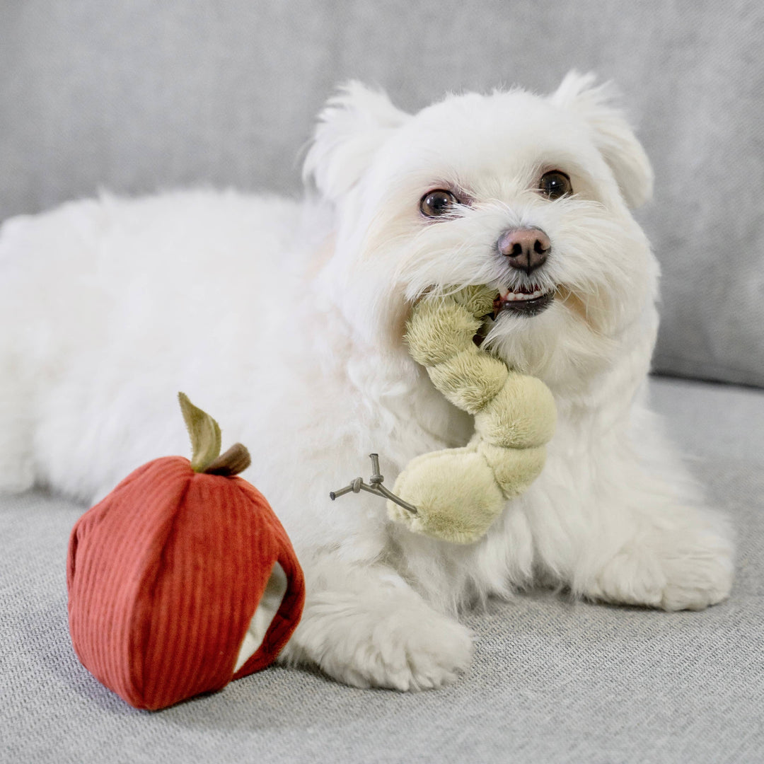 Apple Enrichment Toy Set - Snuffle Toy