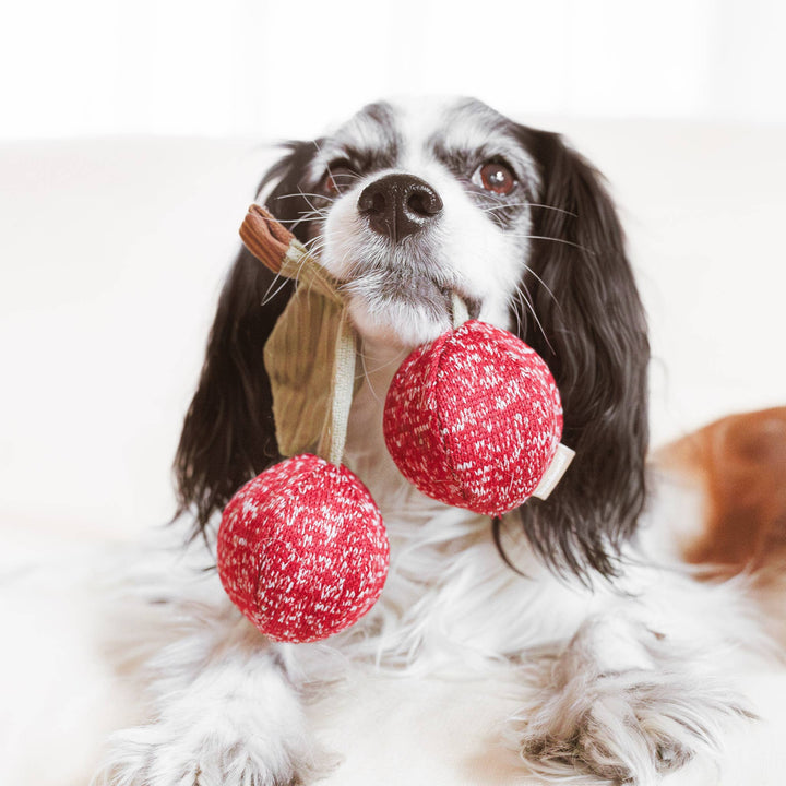 Cherry Pop Enrichment Dog Toy