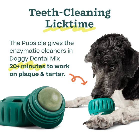 Doggy Dental Pupsicle Mix