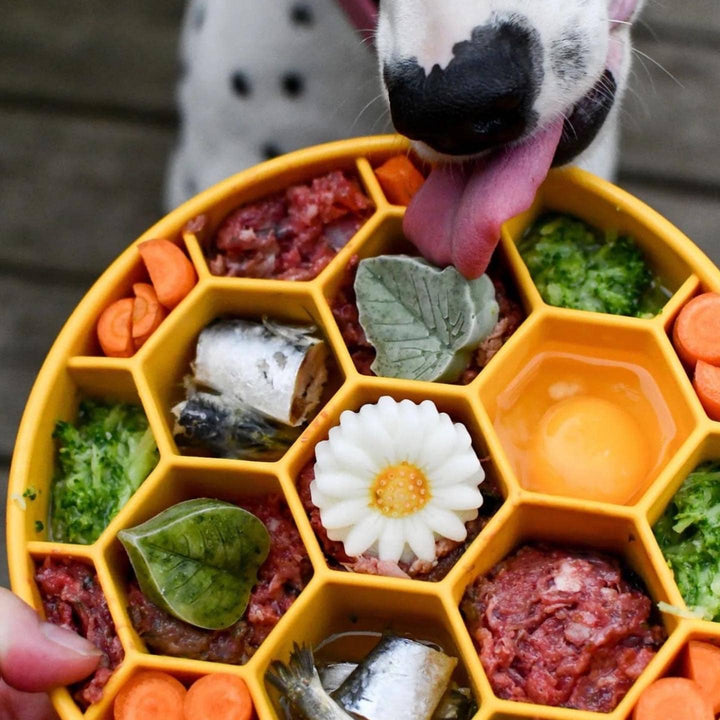Honeycomb Design eBowl Enrichment Slow Feeder Bowl