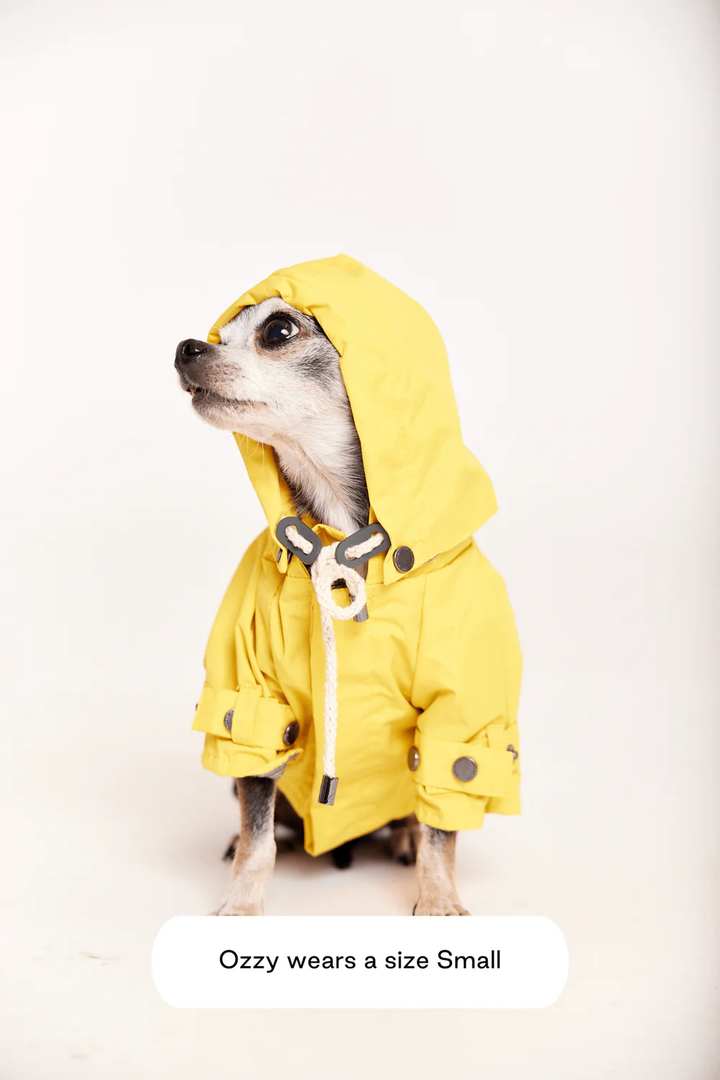 Talon Raincoat for Dogs