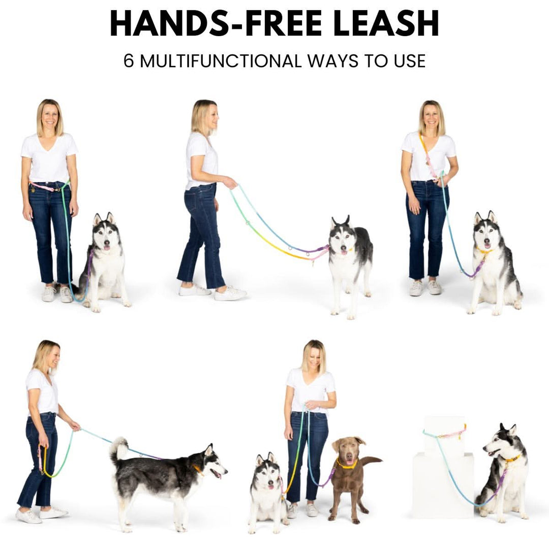 Beau Rainbow Hands-Free Leash