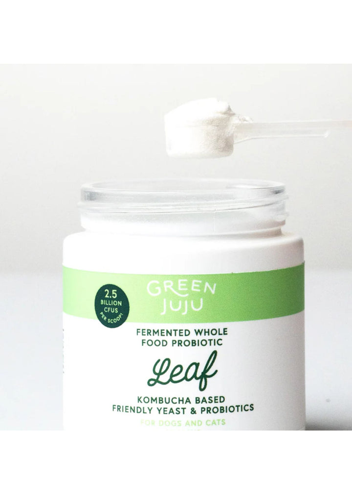 Leaf: Fermented, Kombucha-Based Probiotic 30g