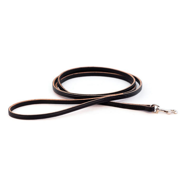 Small Dog Lead / Leather Training Leash