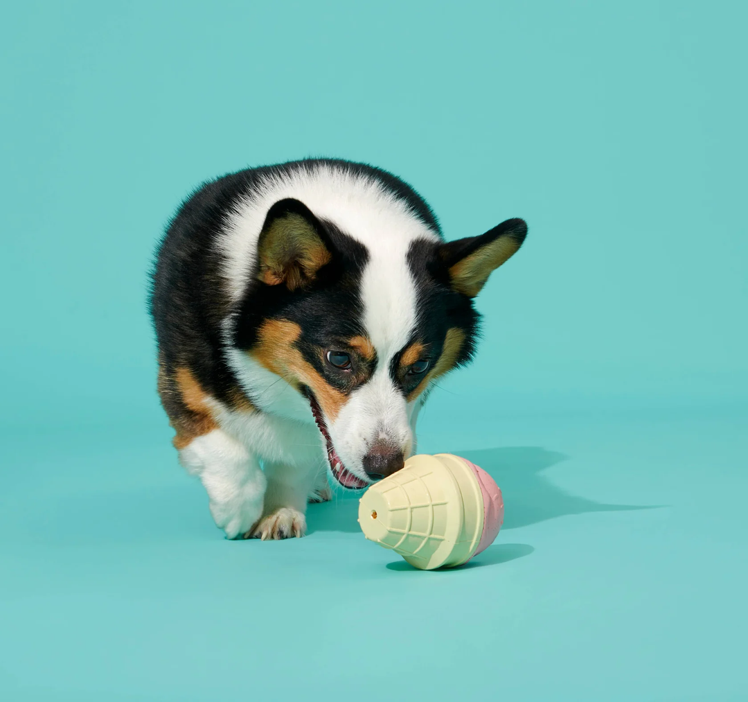 Super Chewer I-Squeak Cone Dog Toy, Large