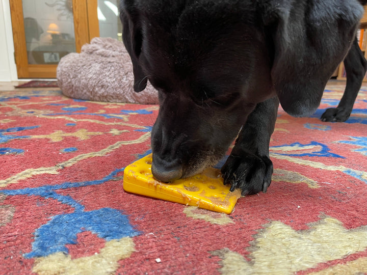 Swiss Cheese Wedge Durable Nylon Dog Chew Toy