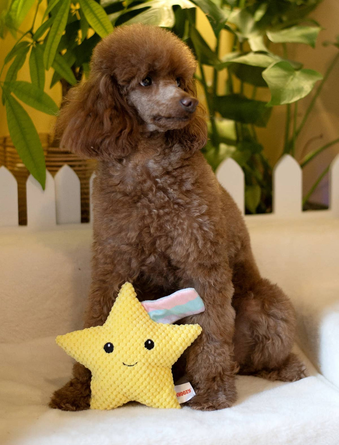 Shooting Star Plush Dog Toy 8"