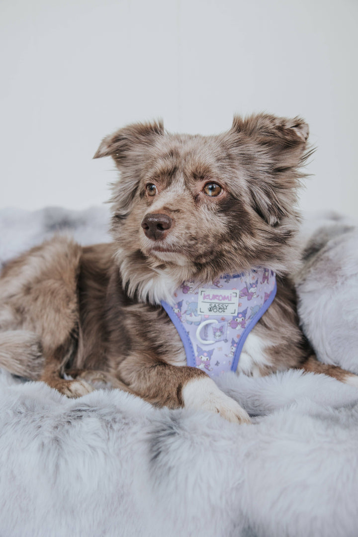 Kuromi™ Adjustable Harness