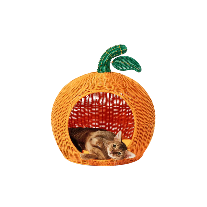 Tangerine Rattan Pet Bed