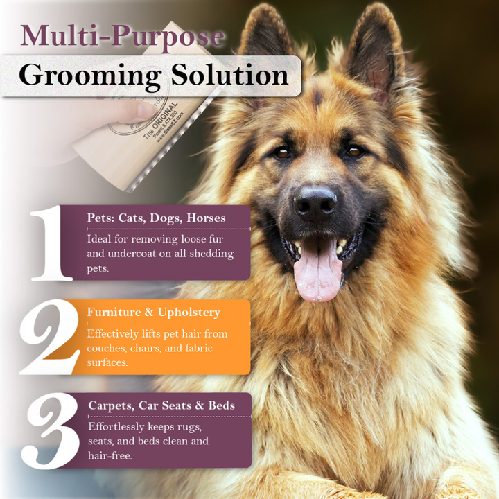 Medium Brush for Shedding and Grooming (5 inch)