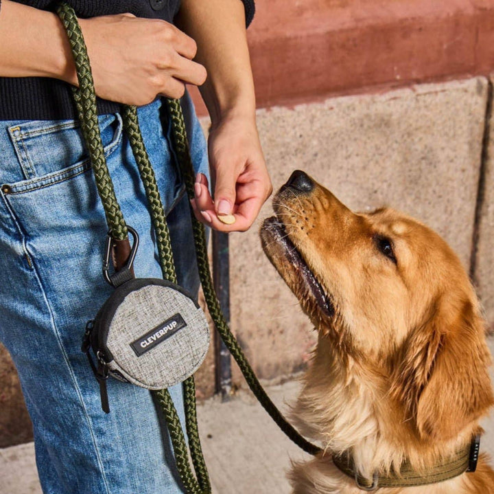 Snackpack Double Insulated Dog Treat Pouch