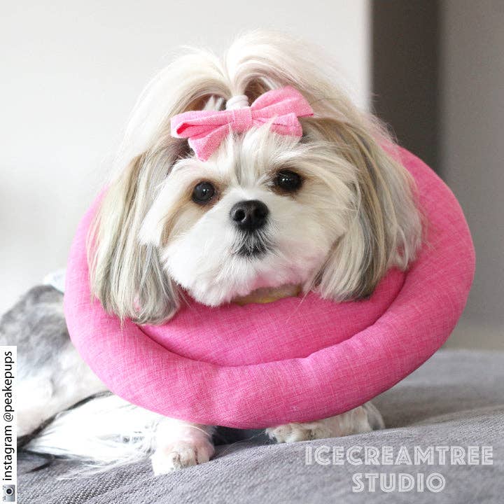 Soft Comfy Cone: Hypoallergenic, Recovery Collar