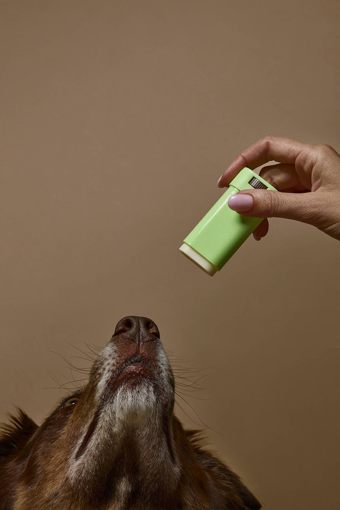 Dog Skin Barrier Stick (Cat-Safe)
