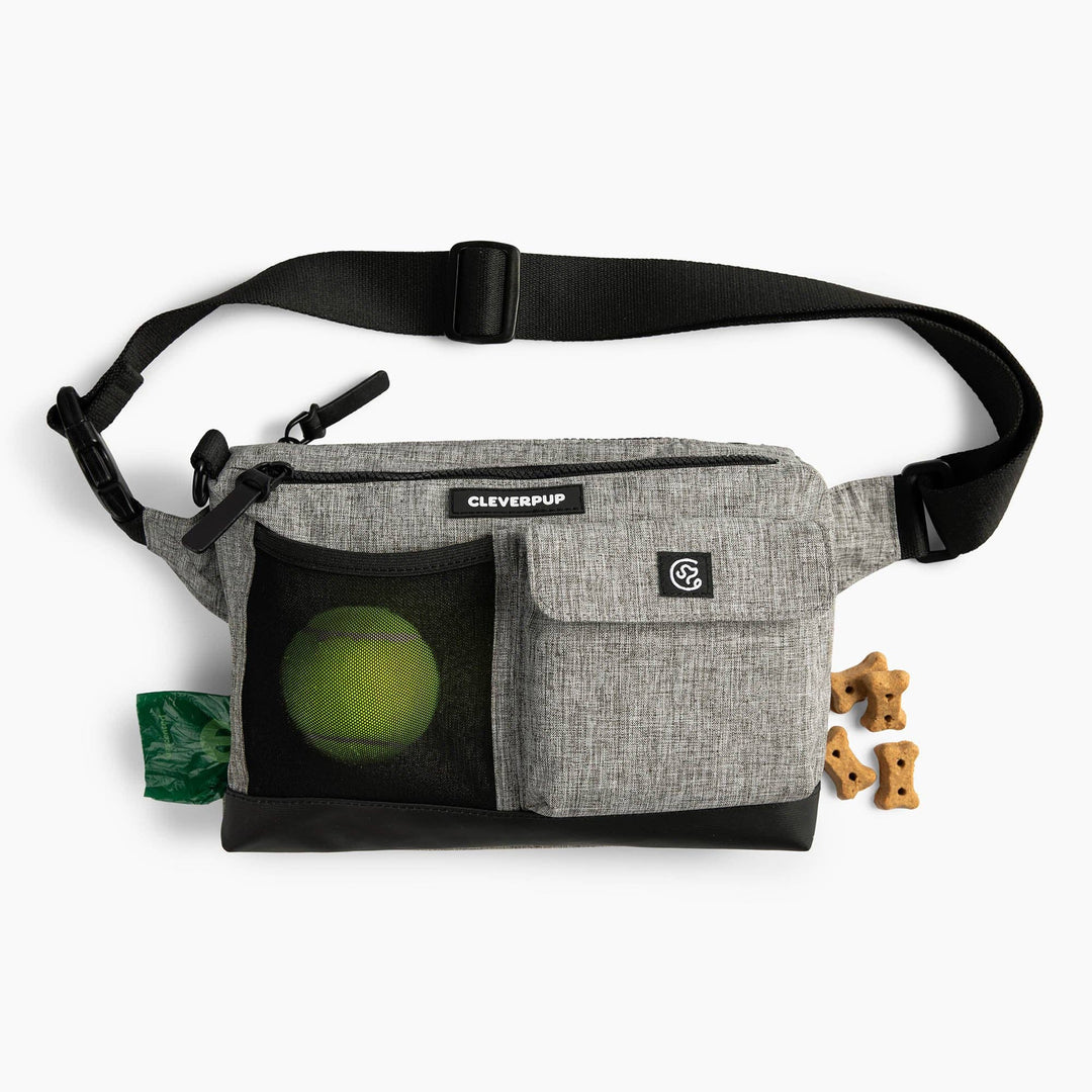 Dog Walk &amp; Train Sling Bag