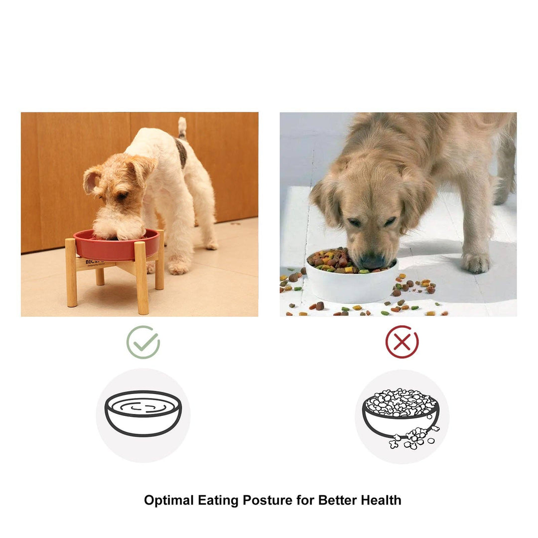 Wave Slow Feeder Dog Bowls