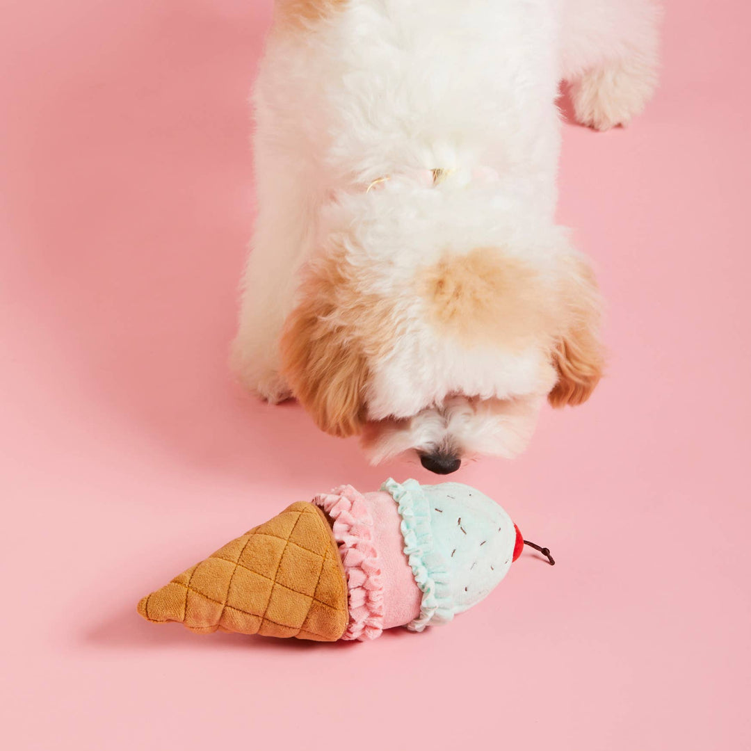 Ice Cream Interactive 2-in-1 Bounce Dog Toy