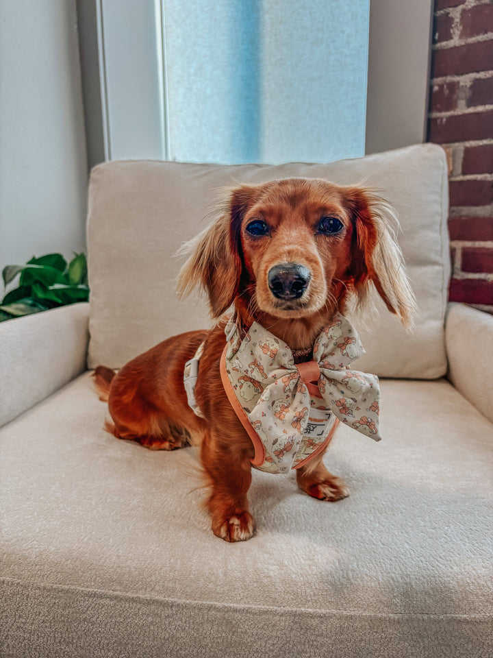 Pompompurin™ Adjustable Harness