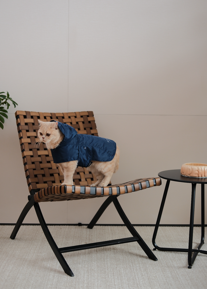 Capsule Raincoat - Blue
