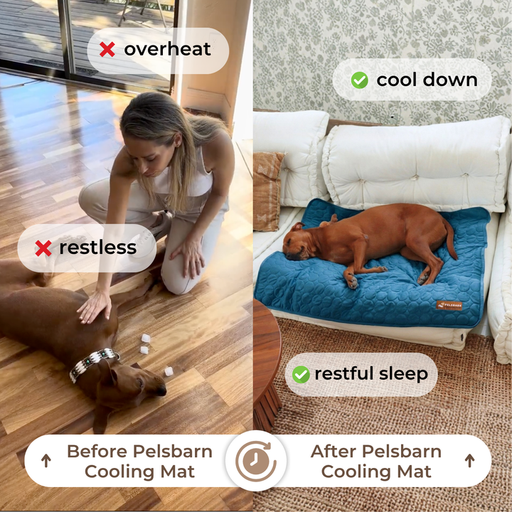 Natural Cooling Mat - Pelsbarn helps shelter dogs!