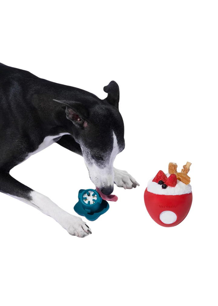 Strawberry Pet Treat Dispensing Toy