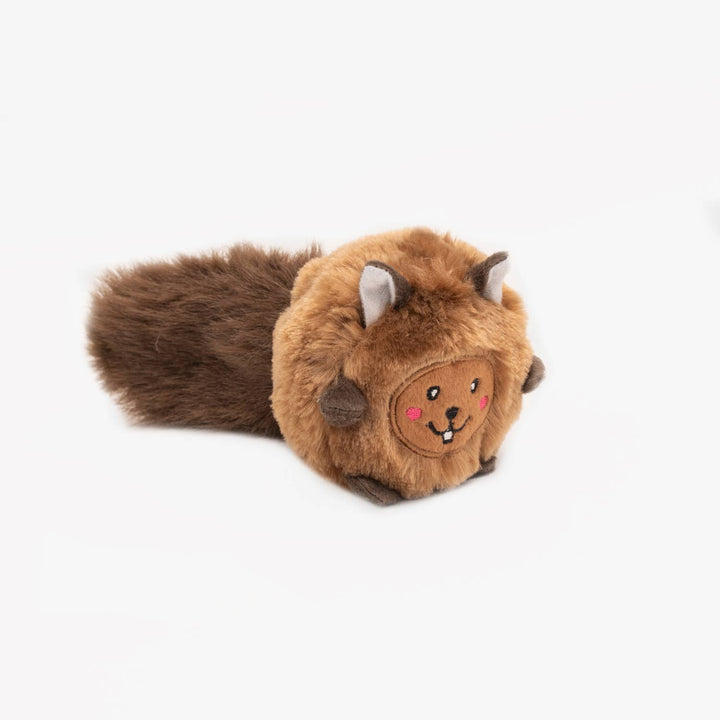 Bushy Throw Squirrel Dog Toy