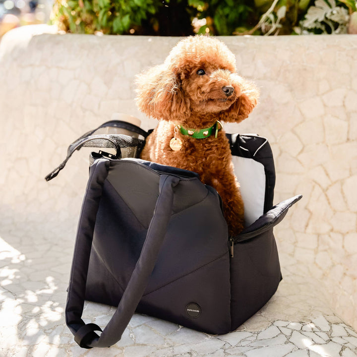 Destination Pet Carrier Tote