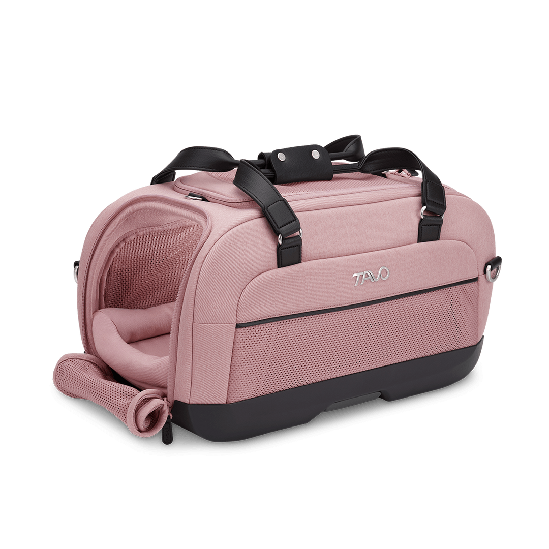 Dupree II Airline Carrier Pet Car Seat
