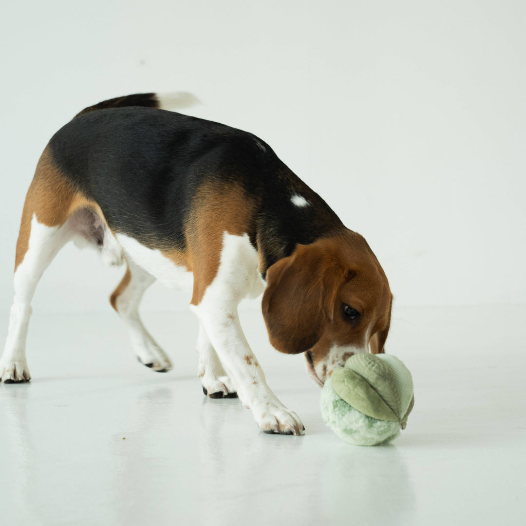 Toto Petite Silent Snuffle Ball
