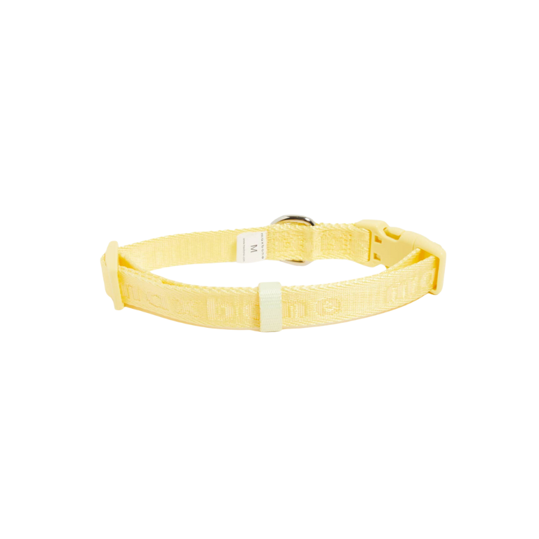 Signature Collar for Dogs