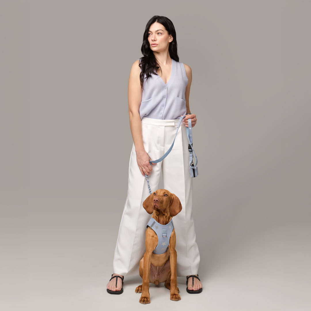 SoHo Dog Harness - Rockstar Hudson
