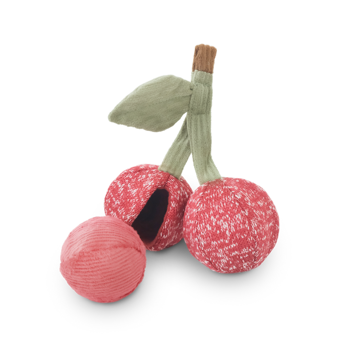Cherry Pop Enrichment Dog Toy