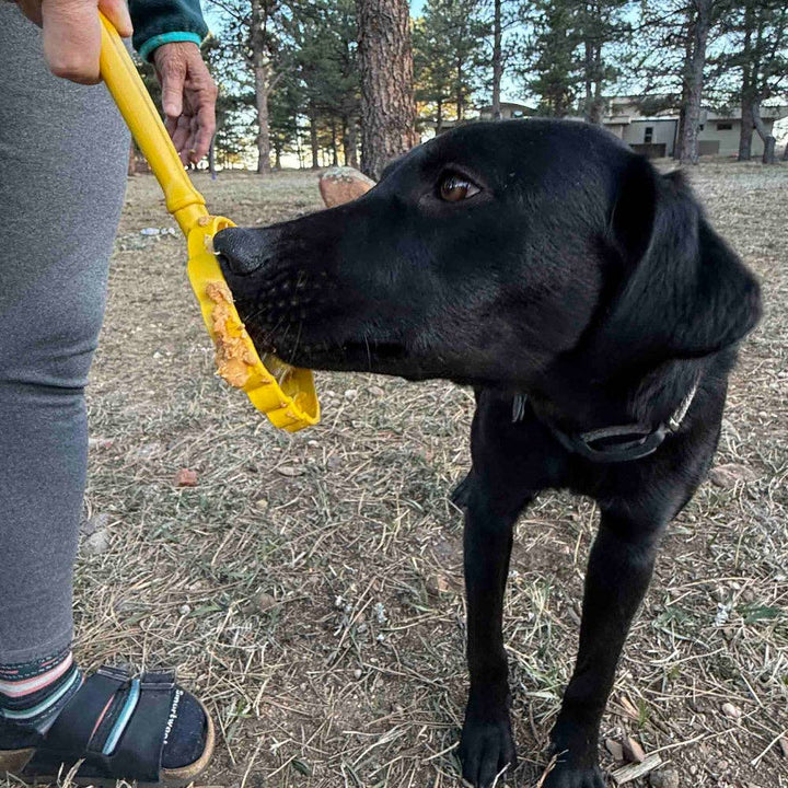 Lick Stick Hand-Held Interactive Enrichment Toys