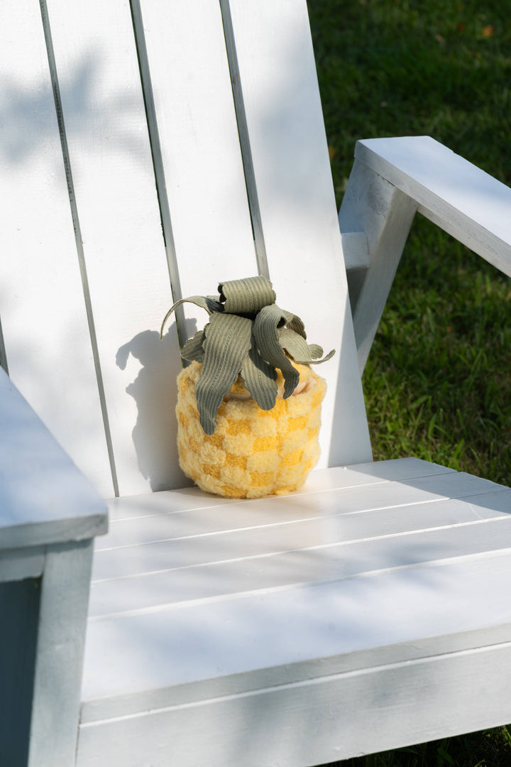 Pineapple Enrichment Dog Toy