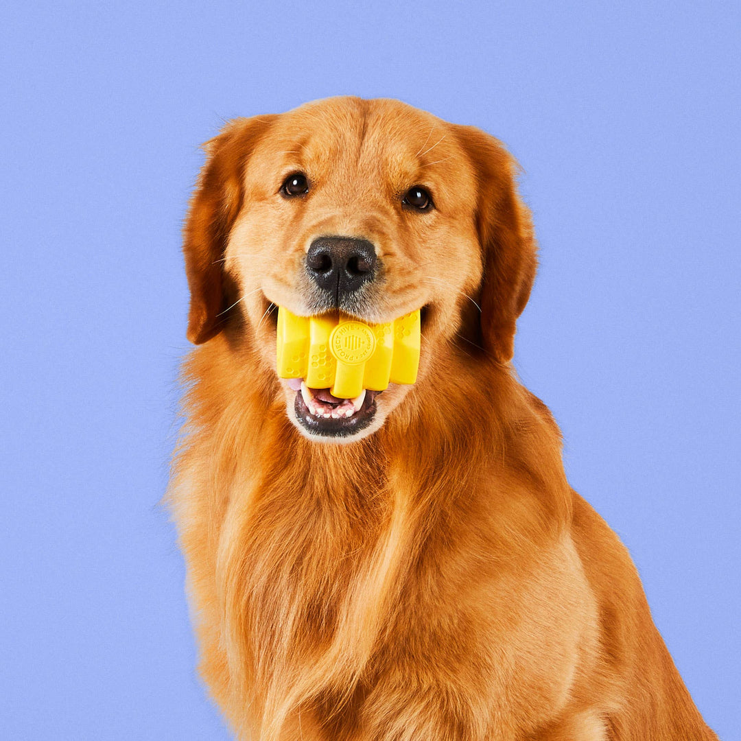 Chew Toy Yellow Large