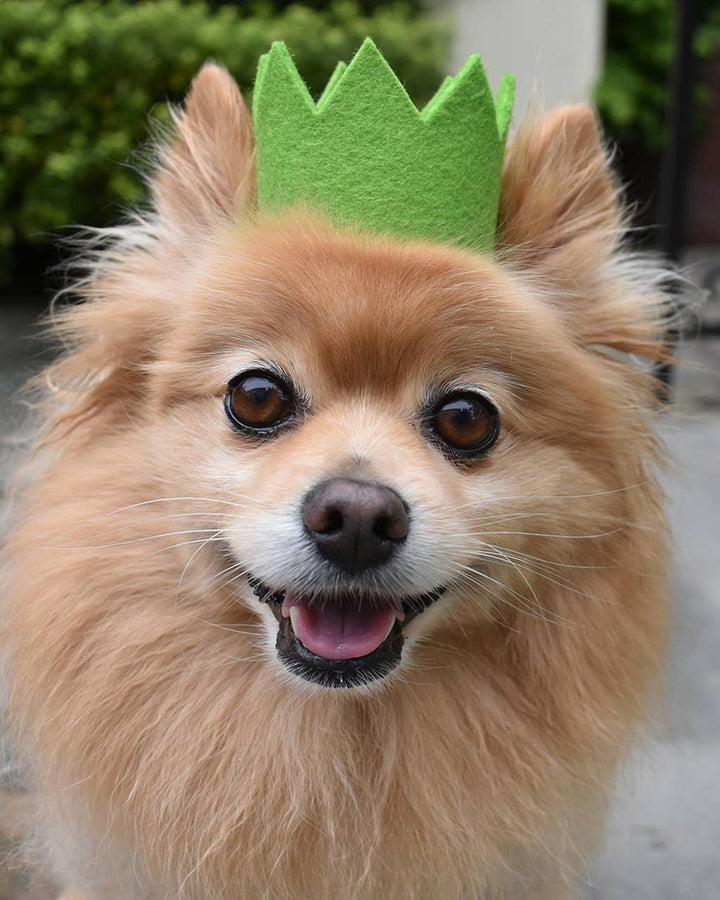 Party Beast Crown Wool Felt Pet Crown