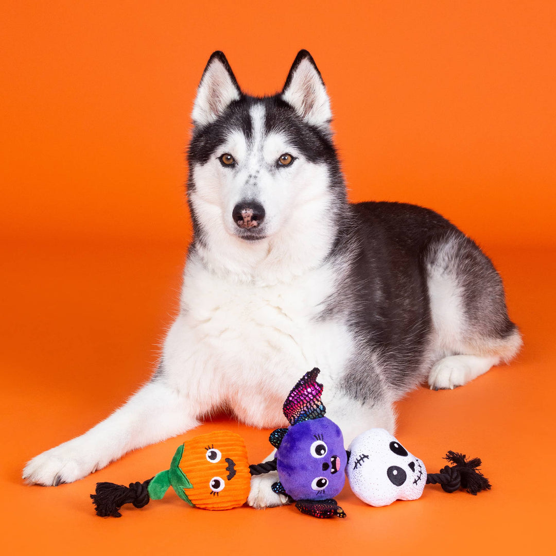 Literally Dead Cute Plush Dog Toy