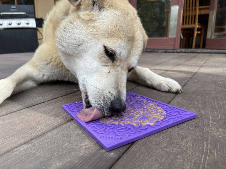 Bones eMat - Enrichment Lick Mat for Dogs and Cats