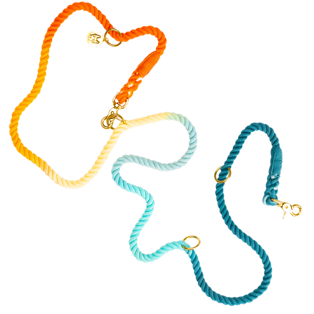 Beau Rainbow Hands-Free Leash