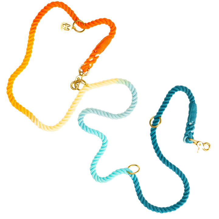 Beau Rainbow Hands-Free Leash