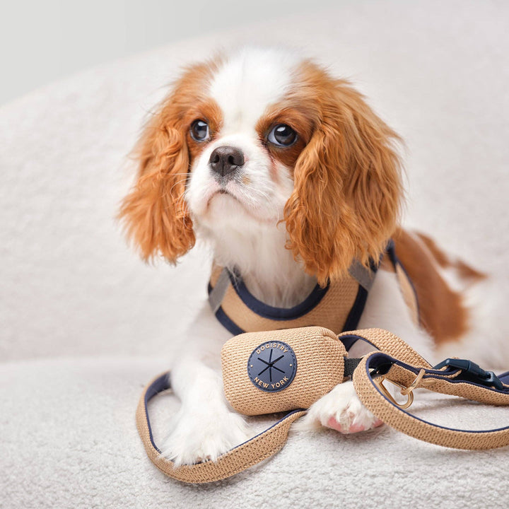 3-in-1 City Dog Leash - Hamptons