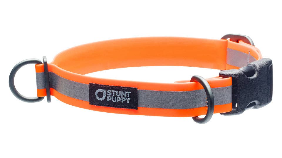 Collar Go Dog Glo Dry
